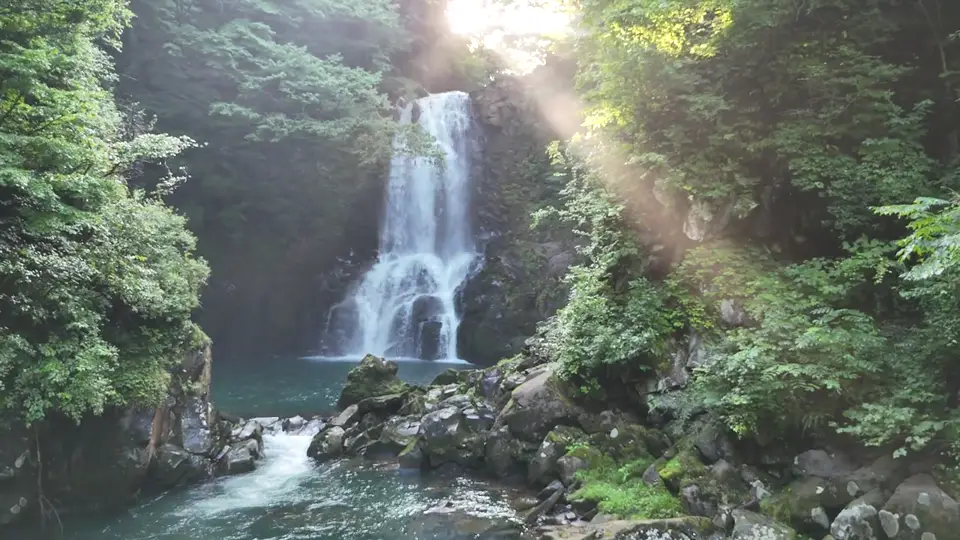 木立の奥の滝の空撮