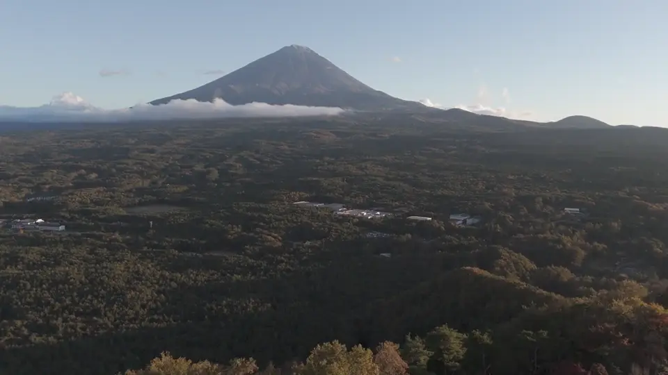 樹海の向こうに富士山を望む空撮
